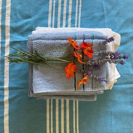 Casa Sisu-appartamento Immerso Negli Ulivi * SantʼElia Fiumerapido