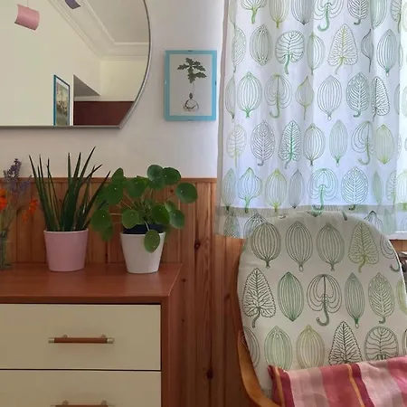 דירה Casa Sisu-appartamento Immerso Negli Ulivi *